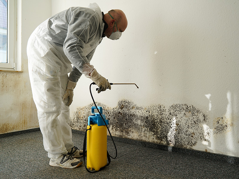 contractor removing mold from property interiors with sprayer desert hot springs ca